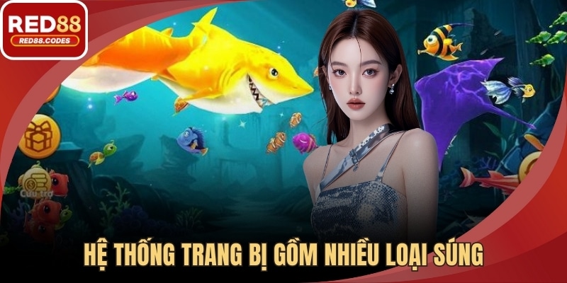Hệ thống trang bị gồm nhiều loại súng