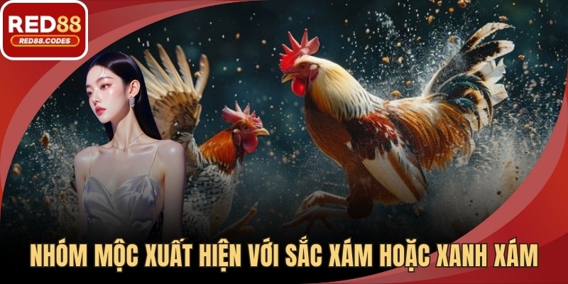 Nhóm Mộc thường xuất hiện với sắc xám hoặc xanh xám