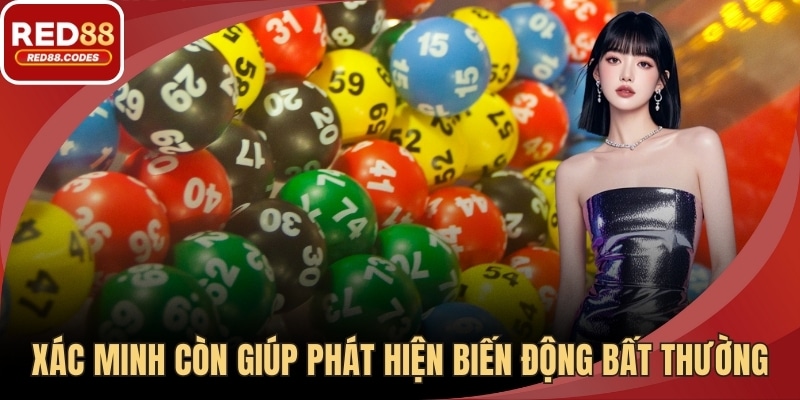 Việc xác minh còn giúp phát hiện các biến động bất thường